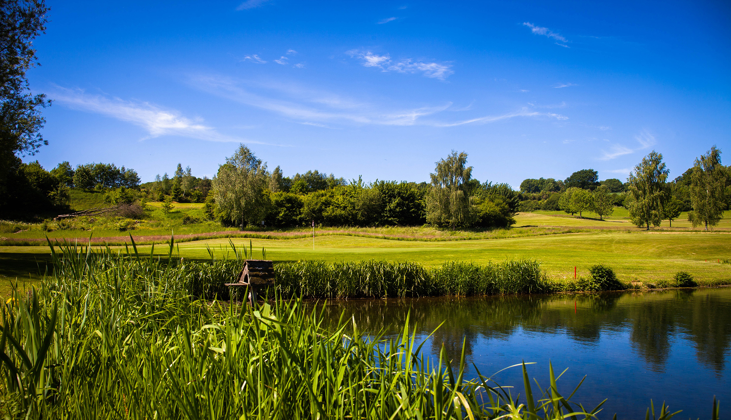 Golf_Haus_Amecke_6401_k